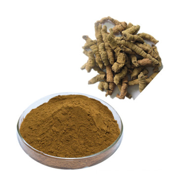 Pure natural Chinese herbal medicine Morinda officinalis extract powder